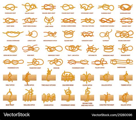 rope sex positions|Basic Knots